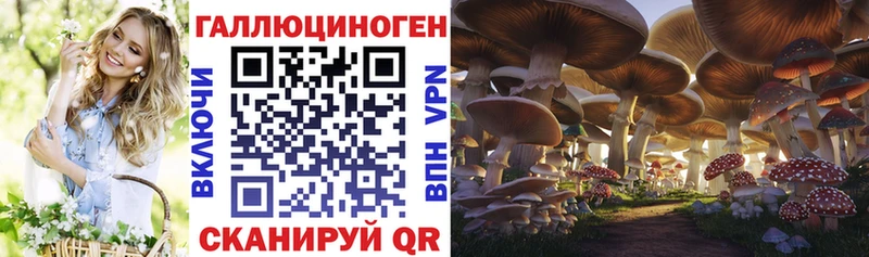 наркота  Городище  Галлюциногенные грибы ЛСД 